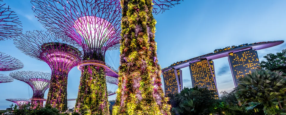 Supertree Grove, Singapore